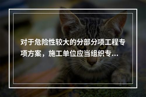 对于危险性较大的分部分项工程专项方案，施工单位应当组织专家对