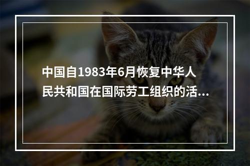 中国自1983年6月恢复中华人民共和国在国际劳工组织的活动，