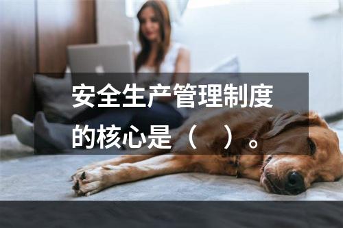 安全生产管理制度的核心是（　）。