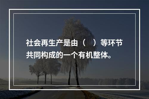 社会再生产是由（　）等环节共同构成的一个有机整体。