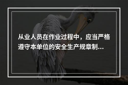 从业人员在作业过程中，应当严格遵守本单位的安全生产规章制度和