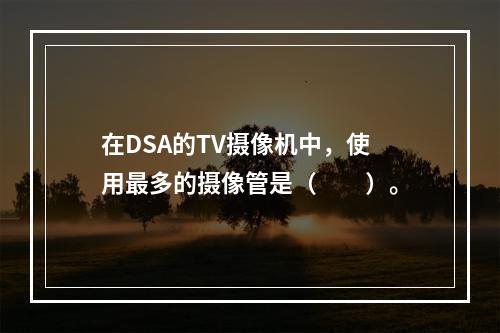 在DSA的TV摄像机中，使用最多的摄像管是（　　）。