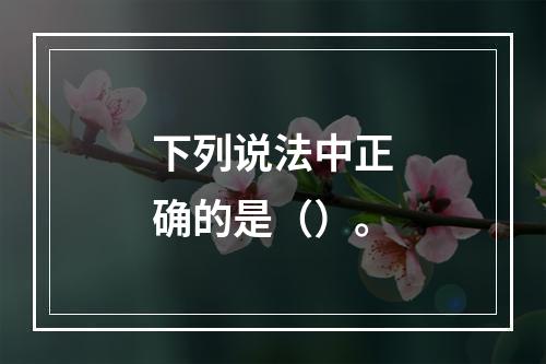 下列说法中正确的是（）。