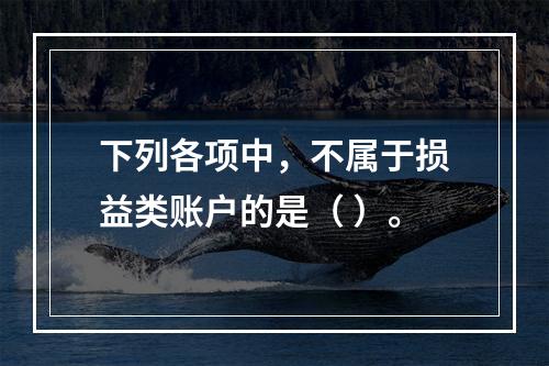 下列各项中，不属于损益类账户的是（ ）。