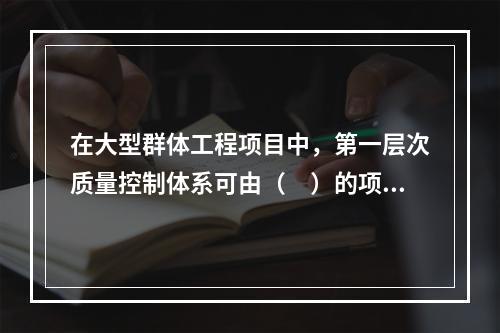 在大型群体工程项目中，第一层次质量控制体系可由（　）的项目管