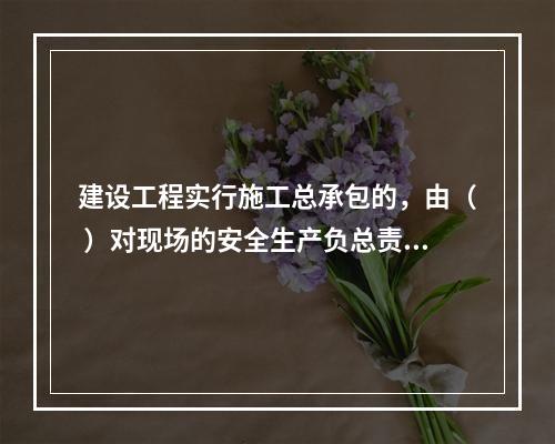 建设工程实行施工总承包的，由（ ）对现场的安全生产负总责。