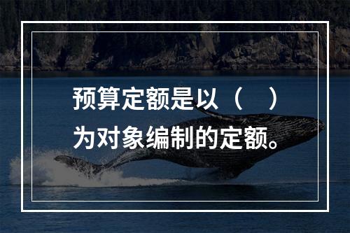 预算定额是以（　）为对象编制的定额。