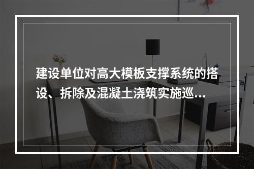 建设单位对高大模板支撑系统的搭设、拆除及混凝土浇筑实施巡查，