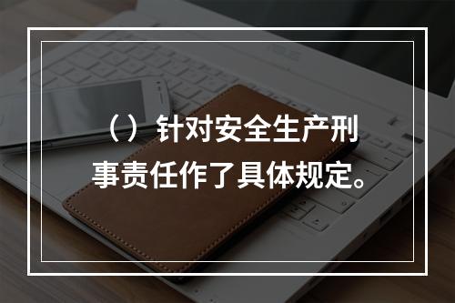 （ ）针对安全生产刑事责任作了具体规定。