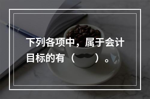 下列各项中，属于会计目标的有（　　）。