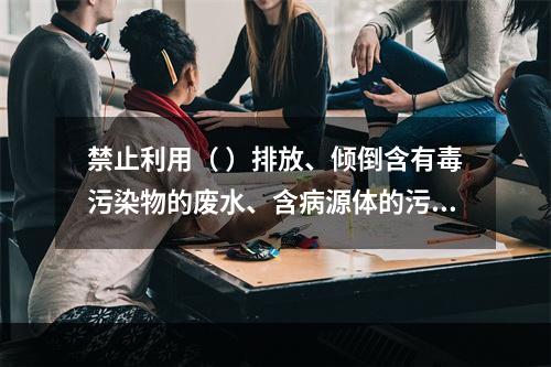 禁止利用（ ）排放、倾倒含有毒污染物的废水、含病源体的污水和