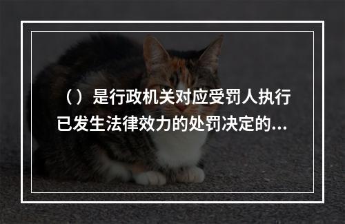 （ ）是行政机关对应受罚人执行已发生法律效力的处罚决定的程序