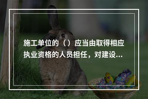 施工单位的（ ）应当由取得相应执业资格的人员担任，对建设工程