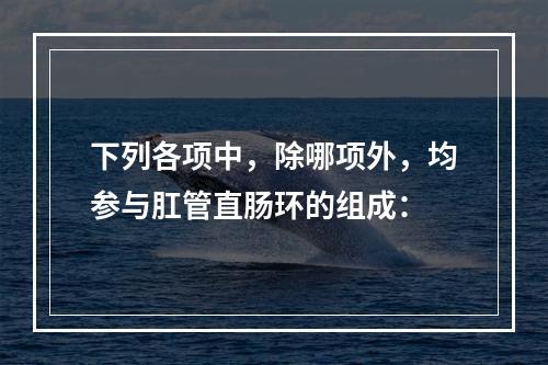 下列各项中，除哪项外，均参与肛管直肠环的组成：