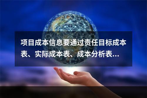 项目成本信息要通过责任目标成本表、实际成本表、成本分析表等来