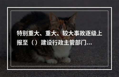 特别重大、重大、较大事故逐级上报至（ ）建设行政主管部门。