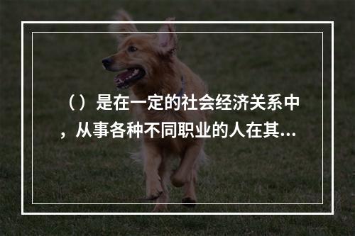 （ ）是在一定的社会经济关系中，从事各种不同职业的人在其特定