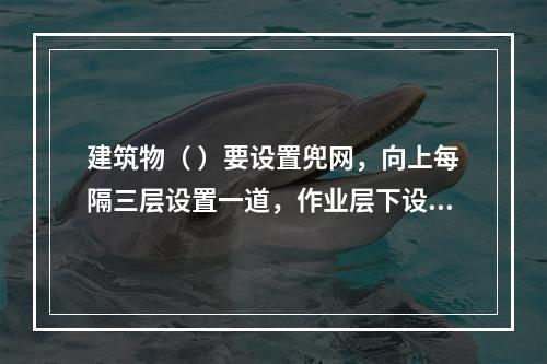 建筑物（ ）要设置兜网，向上每隔三层设置一道，作业层下设随层