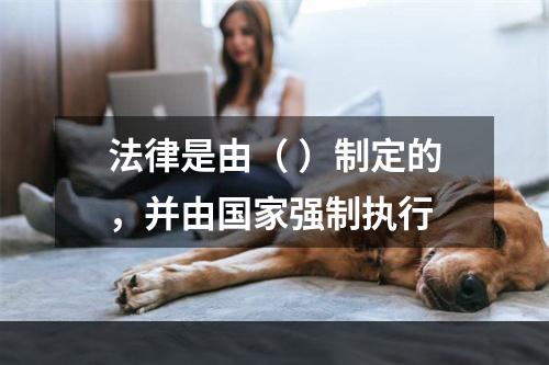 法律是由（ ）制定的，并由国家强制执行