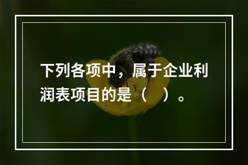 下列各项中，属于企业利润表项目的是（　）。