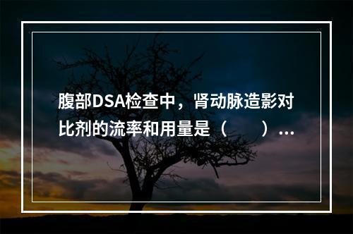 腹部DSA检查中，肾动脉造影对比剂的流率和用量是（　　）。