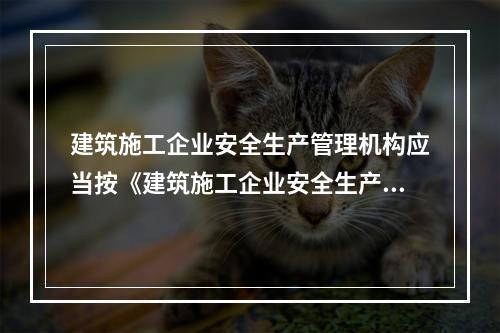 建筑施工企业安全生产管理机构应当按《建筑施工企业安全生产管理