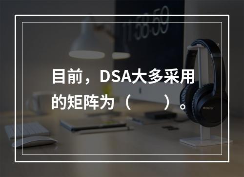 目前，DSA大多采用的矩阵为（　　）。