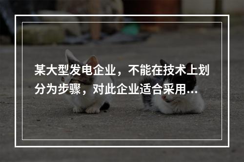 某大型发电企业，不能在技术上划分为步骤，对此企业适合采用的成