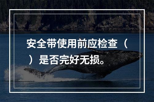 安全带使用前应检查（ ）是否完好无损。