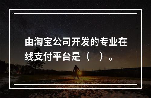 由淘宝公司开发的专业在线支付平台是（　）。