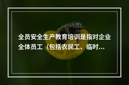 全员安全生产教育培训是指对企业全体员工（包括农民工、临时工）