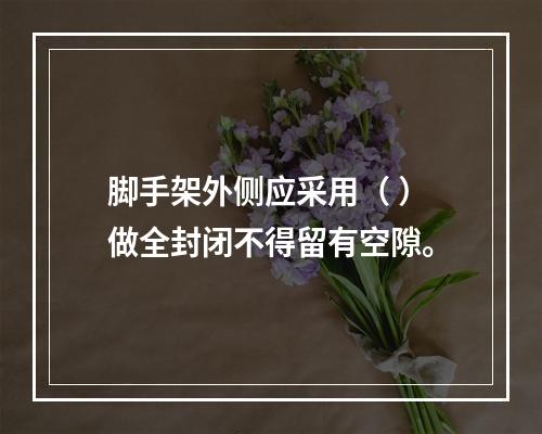 脚手架外侧应采用（ ）做全封闭不得留有空隙。