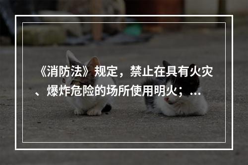 《消防法》规定，禁止在具有火灾、爆炸危险的场所使用明火；因特