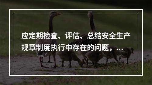 应定期检查、评估、总结安全生产规章制度执行中存在的问题，或建