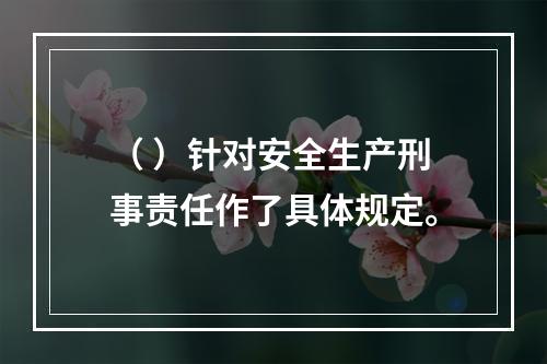 （ ）针对安全生产刑事责任作了具体规定。