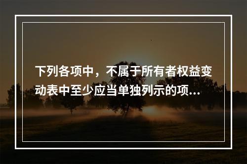 下列各项中，不属于所有者权益变动表中至少应当单独列示的项目是