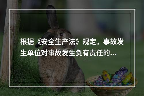 根据《安全生产法》规定，事故发生单位对事故发生负有责任的，依