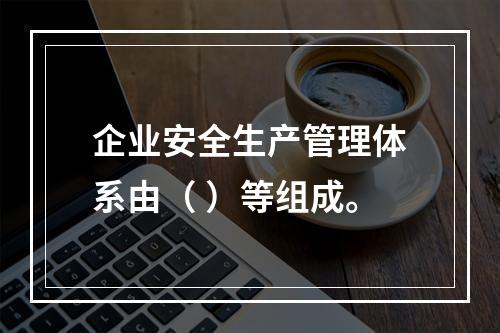 企业安全生产管理体系由（ ）等组成。