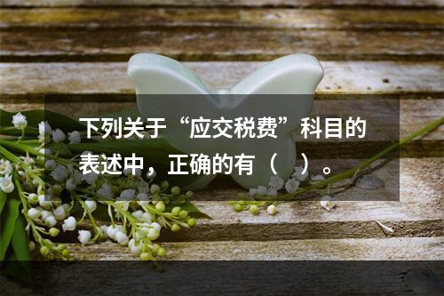 下列关于“应交税费”科目的表述中，正确的有（　）。