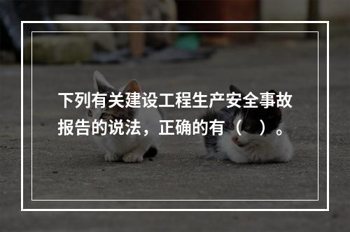 下列有关建设工程生产安全事故报告的说法，正确的有（　）。