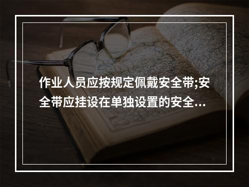 作业人员应按规定佩戴安全带;安全带应挂设在单独设置的安全绳上