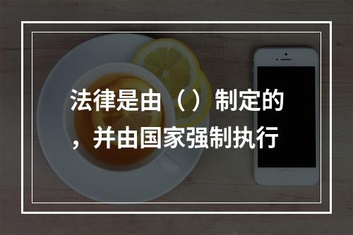 法律是由（ ）制定的，并由国家强制执行