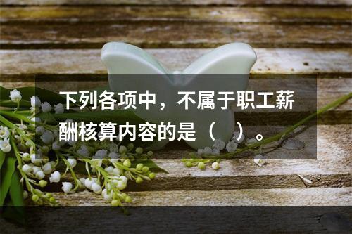 下列各项中，不属于职工薪酬核算内容的是（　）。