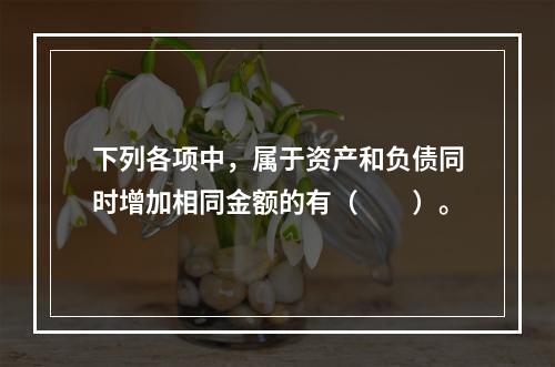 下列各项中，属于资产和负债同时增加相同金额的有（　　）。