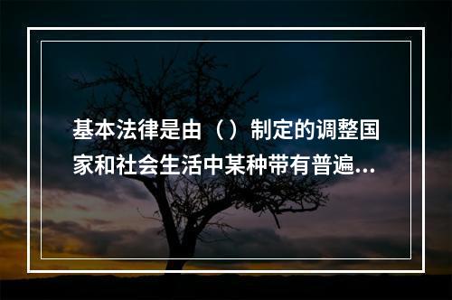 基本法律是由（ ）制定的调整国家和社会生活中某种带有普遍性的