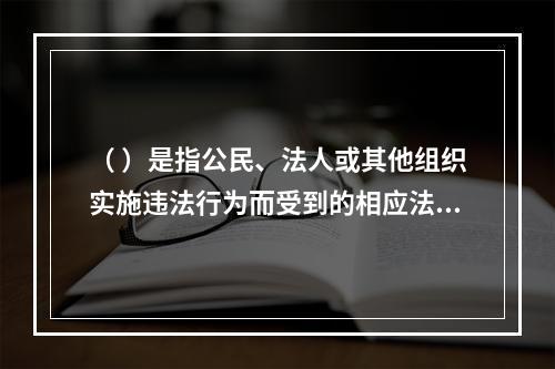 （ ）是指公民、法人或其他组织实施违法行为而受到的相应法律制