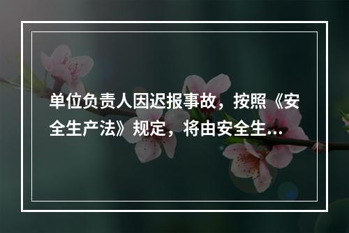 单位负责人因迟报事故，按照《安全生产法》规定，将由安全生产监