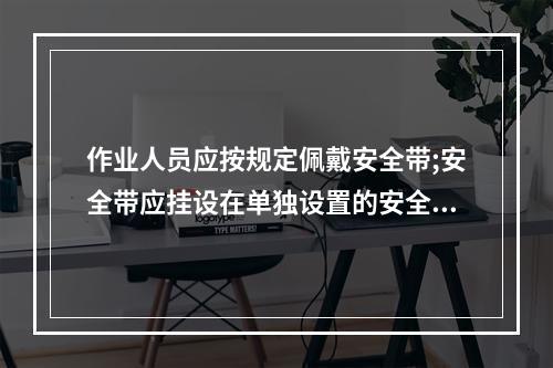 作业人员应按规定佩戴安全带;安全带应挂设在单独设置的安全绳上