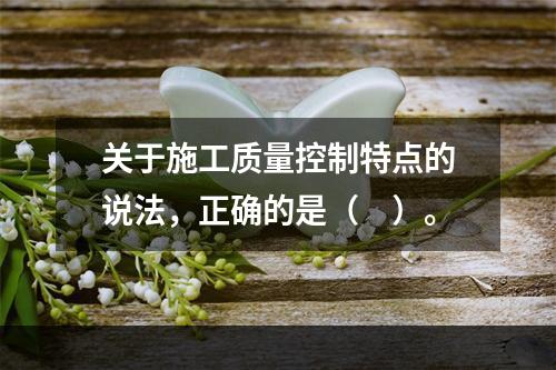 关于施工质量控制特点的说法，正确的是（　）。