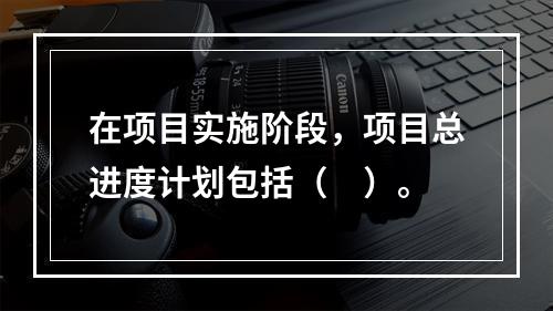 在项目实施阶段，项目总进度计划包括（　）。